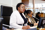MINMEC and Launch of Maitland Mews Social Housing Project