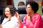 GQEBERHA BENEFICIARIES GET NEW GOVERNMENT SUBSIDISED HOMES