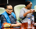 GQEBERHA BENEFICIARIES GET NEW GOVERNMENT SUBSIDISED HOMES
